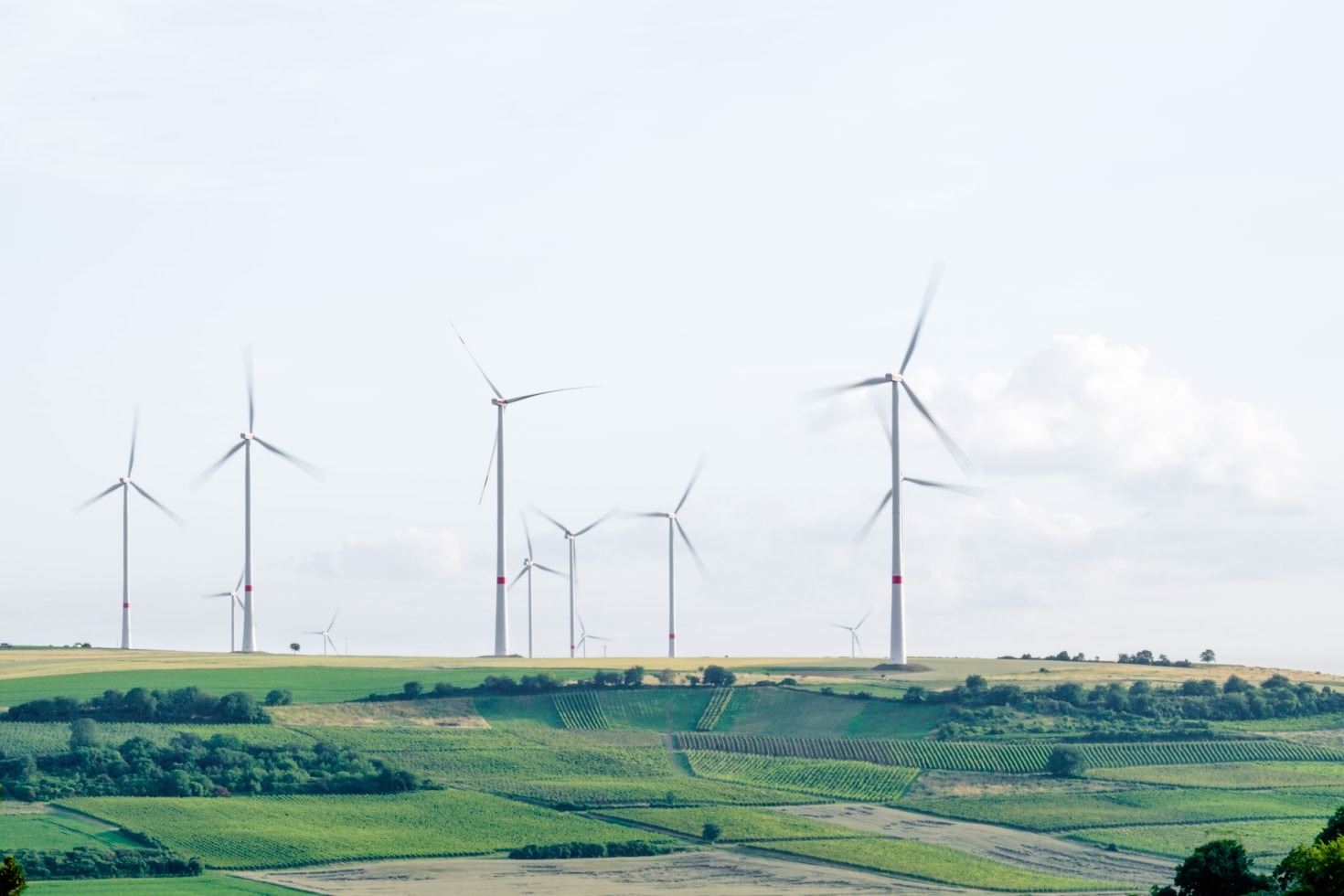 Erfolgsgeschichten aus unseren letzten Naturschutzprojekten