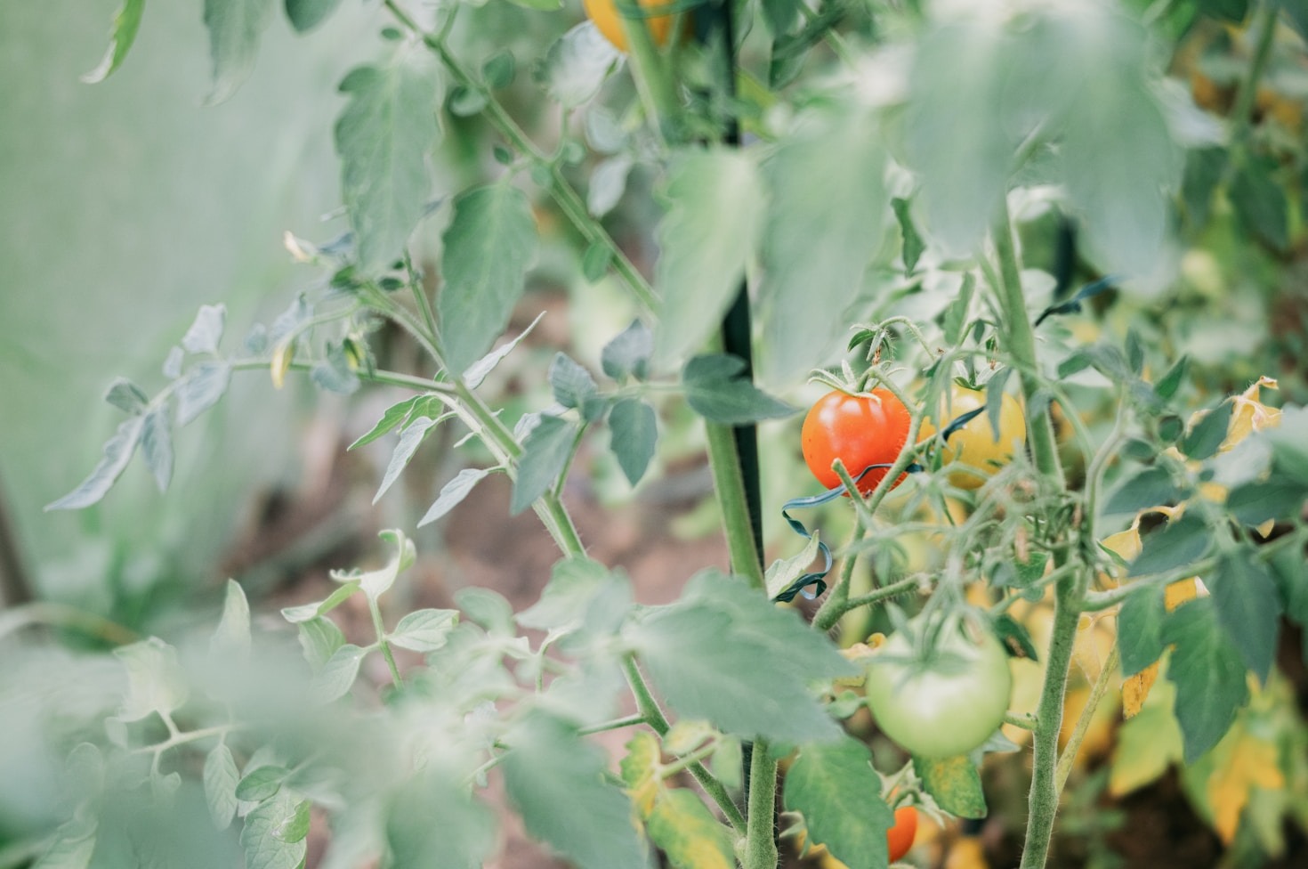 Die Bedeutung der Biodiversität für unsere Region